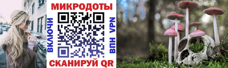 Купить  Байкальск  Псилоцибиновые грибы Psilocybe 